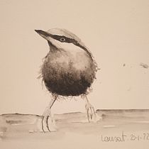 Il mio progetto del corso: Acquerello artistico per illustrazione di animali: gli uccelli. Traditional illustration, Realistic Drawing, and Naturalistic Illustration project by Laura Torelli - 01.20.2022