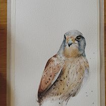 My project in Artistic Watercolor Techniques for Illustrating Birds course. Projekt z dziedziny Trad, c, jna ilustracja, Malowanie akwarelą, R, sunek realist, czn, Ilustracja naturalist i czna użytkownika koziol_izabela6 - 20.01.2022