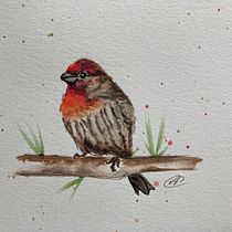 My project in Artistic Watercolor Techniques for Illustrating Birds course. Watercolor Painting, Traditional illustration, Realistic Drawing, and Naturalistic Illustration project by Mika Pratt - 01.15.2022