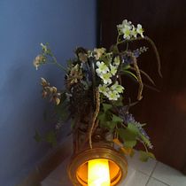 La luz de la estación del ferrocarril . Interior Design, L, scape Architecture, Decoration, DIY, Floral, and Plant Design project by Rosa Maria Santamaria Careta - 01.21.2022