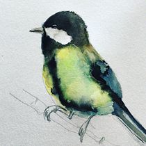 Mon projet du cours : Techniques artistiques d'aquarelle pour illustrer les oiseaux. Traditional illustration, Watercolor Painting, Realistic Drawing, and Naturalistic Illustration project by mariepilloy - 01.21.2022