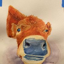 My final project (My calf Blossom). Un projet de Illustration traditionnelle, Aquarelle, Dessin réaliste et Illustration naturaliste de Buffy Weiss - 22.01.2022
