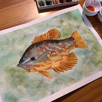 Final Project: Freshwater Sunfish (Experimental Watercolor Techniques for Beginners). Traditional illustration, Fine Arts, Watercolor Painting, and Naturalistic Illustration project by Brooke Walker - 01.22.2022