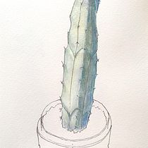 Drawing with Awareness. Ilustração tradicional, Esboçado, Desenho, Pintura em aquarela, Ilustração botânica, e Sketchbook projeto de giovanni.caffio - 22.01.2022