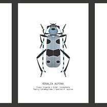 My project in Scientific Illustration for Pattern Design course. Un projet de Illustration traditionnelle, Création de motifs, Illustration numérique, Illustration naturaliste , et Confection de patrons et vêtements de Rea Nemer - 22.01.2022