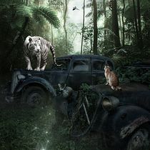 Photorealistic photomontage. Photograph, Photograph, Post-production, VFX, Photo Retouching, Fine-Art Photograph, Photographic Composition, and Photomontage project by Sabina Czypionka - 01.22.2022