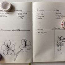 My project in Introduction to Illustrated Bullet Journaling course. Projekt z dziedziny Trad, c, jna ilustracja, Craft, T, pografia,  R, sunek, R, sunek botaniczn, DIY,  Pismo dekorac i jne użytkownika ahblair49 - 22.01.2022