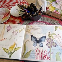 Mi Proyecto del curso: Diario naturalista en acuarela. Traditional illustration, Watercolor Painting, Botanical Illustration, Sketchbook, and Naturalistic Illustration project by Maria Lopez Zuloaga - 01.12.2022