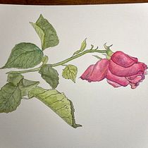 My project in Botanical Sketchbooking: A Meditative Approach course. Ilustração tradicional, Esboçado, Desenho, Pintura em aquarela, Ilustração botânica, e Sketchbook projeto de Beatrice Martini - 22.01.2022