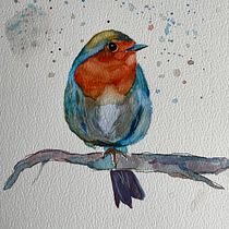 Meu projeto do curso: Técnicas expressivas de aquarela para ilustração de pássaros. Traditional illustration, Watercolor Painting, Realistic Drawing, and Naturalistic Illustration project by luna5189 - 01.20.2021