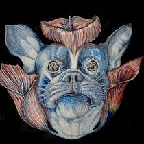Mein Kursprojekt: Kreatives Porträt in Chiaroscuro mit Bleistift. Un projet de Illustration traditionnelle, Dessin de portrait, Dessin artistique, Dessin aux cra, ons de couleur, Dessin au cra , et on de Tina - 23.01.2022