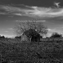 CHOÇU - Refugios campesinos autoconstruidos en piedra seca.. Photograph, Digital Photograph, Documentar, Photograph, Architectural Photograph, Narrative, L, scape Architecture, Architecture, Creativit, DIY, Arts, and Crafts project by Siro Santos - 01.23.2022