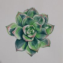 Il mio progetto del corso: Illustrazione botanica con acquerello. Ilustração tradicional, Artes plásticas, Pintura, Desenho, Pintura em aquarela e Ilustração botânica projeto de mrfanuli - 23.01.2022