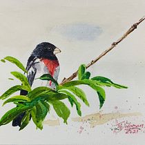 My project in Artistic Watercolor Techniques for Illustrating Birds course. Traditional illustration, Watercolor Painting, Realistic Drawing, and Naturalistic Illustration project by Tom Johnson - 01.20.2022