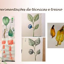 Meu projeto do curso: Ilustração botânica com aquarela. Ilustração tradicional, Artes plásticas, Pintura, Desenho, Pintura em aquarela e Ilustração botânica projeto de Rachel Cosme - 24.01.2022