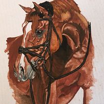 My project in Expressive Animal Portraits in Watercolor course. Un projet de Illustration traditionnelle, Aquarelle, Dessin réaliste et Illustration naturaliste de Dani Smit - 14.01.2022