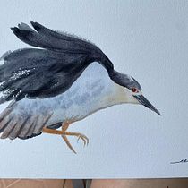 My project in Naturalist Watercolor with Expression and Personality course. Traditional illustration, Watercolor Painting, and Naturalistic Illustration project by Crystal C - 01.24.2022
