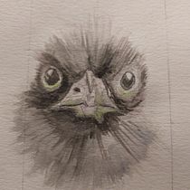 Mijn project van de cursus: Vogels illustreren met artistieke aquarel. Traditional illustration, Watercolor Painting, Realistic Drawing, and Naturalistic Illustration project by Henriette Kamp - 01.24.2022