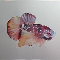 Mi Proyecto del curso: Técnicas experimentales de acuarela para principiantes. Un progetto di Illustrazione tradizionale, Belle arti, Pittura ad acquerello e Illustrazione naturalistica di Maria Garrido García - 27.02.2022