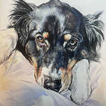 My project in Expressive Animal Portraits in Watercolor course: `Feeling watched´, watercolour 34 x 30 cm Ein Projekt aus dem Bereich Traditionelle Illustration, Aquarellmalerei, Realistische Zeichnung und Naturalistische Illustration von zoe - 25.01.2022