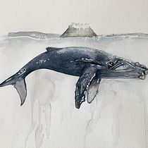 My project in Naturalist Illustration Techniques: Whales in Watercolor course. Traditional illustration, Poster Design, Digital Illustration, and Manga project by Emma Geary - 01.25.2022