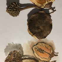 My project in Creating Botanical Patterns from a Drawing course. Un projet de Illustration numérique, Illustration botanique, Dessin numérique et Illustration traditionnelle de yarammess - 25.01.2022