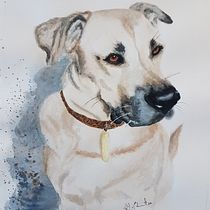 Mon projet du cours : Portraits expressifs d'animaux à l'aquarelle. Un projet de Illustration traditionnelle, Aquarelle, Dessin réaliste et Illustration naturaliste de emilie_boisvert - 21.01.2022