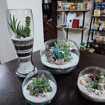Mi Proyecto del curso: Arte vegetal: crea tu propio terrario abierto. Un proyecto de Diseño de interiores, Paisajismo, Decoración de interiores, DIY, Diseño floral y vegetal de Andres Santafe - 26.01.2022