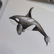 Mój projekt z kursu: Naturalistyczne techniki ilustracji: wieloryby w akwareli. Traditional illustration, Poster Design, Digital Illustration, and Manga project by Alicja S - 01.26.2022