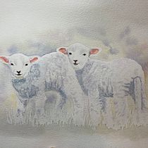 My project in Expressive Animal Portraits in Watercolor course. Un projet de Illustration traditionnelle, Aquarelle, Dessin réaliste et Illustration naturaliste de caryslawson - 26.01.2022