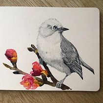 Mein Kursprojekt: Illustriere Vögel mit expressiven Aquarelltechniken. Projekt z dziedziny Trad, c, jna ilustracja, Malowanie akwarelą, R, sunek realist, czn, Ilustracja naturalist i czna użytkownika Jenny - 26.01.2022