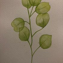 My project in Naturalist Illustrations with Watercolors: Drawing and Composition course. Traditional illustration, Drawing, Watercolor Painting, Naturalistic Illustration, and Design project by b7krc8dfsd - 01.26.2022