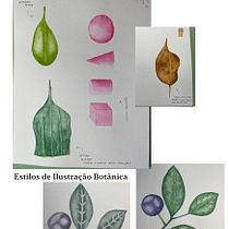 O meu Curso de Ilustração botânica com aquarela. Ilustração tradicional, Artes plásticas, Pintura, Desenho, Pintura em aquarela e Ilustração botânica projeto de sandradiasbranco - 26.01.2022