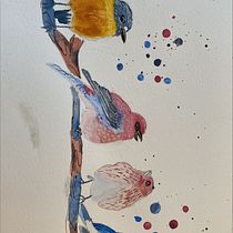 My project in Artistic Watercolor Techniques for Illustrating Birds course. Projekt z dziedziny Trad, c, jna ilustracja, Malowanie akwarelą, R, sunek realist, czn, Ilustracja naturalist i czna użytkownika Kimberly Kimball - 23.01.2022