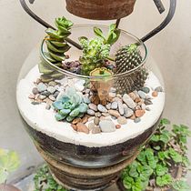 Mi Proyecto del curso: Arte vegetal: crea tu propio terrario abierto. Interior Design, L, scape Architecture, Decoration, DIY, Floral, and Plant Design project by Luis Palacios - 01.26.2022