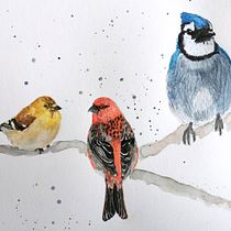 Oiseaux tricolores . Projekt z dziedziny Trad, c, jna ilustracja, Malowanie akwarelą, R, sunek realist, czn, Ilustracja naturalist i czna użytkownika Maryèv Pyjon - 25.01.2022