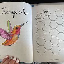 My project in Introduction to Illustrated Bullet Journaling course. Projekt z dziedziny Trad, c, jna ilustracja, Craft, T, pografia,  R, sunek, R, sunek botaniczn, DIY,  Pismo dekorac i jne użytkownika Csilla Gömöri - 28.01.2022