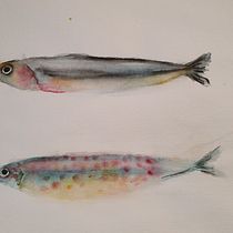 My project in Marine Universe Illustration in Watercolor course. Un projet de Illustration traditionnelle, Peinture, Aquarelle et Illustration naturaliste de Marte Boro - 28.01.2022