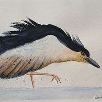 Meu projeto do curso: Aquarela naturalista com expressão e personalidade. Traditional illustration, Watercolor Painting, and Naturalistic Illustration project by epinheiro2601 - 01.28.2022