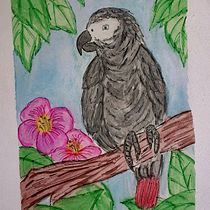 Pappagallo cenerino. Il mio progetto del corso : "Dallo sketch sul quaderno all'illustrazione finale". Traditional illustration, Sketching, Creativit, Drawing, and Sketchbook project by Maria Elisa Frau - 01.28.2022
