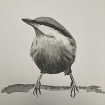 My project in Artistic Watercolor Techniques for Illustrating Birds course. Projekt z dziedziny Trad, c, jna ilustracja, Malowanie akwarelą, R, sunek realist, czn, Ilustracja naturalist i czna użytkownika g2y6pk59vz - 23.01.2022