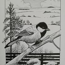 My project in Dip Pen and Ink Illustration: Capturing The Natural World course. Sketching, Drawing, Artistic Drawing, Sketchbook, Ink Illustration, and Naturalistic Illustration project by Linda Doubravová - 01.29.2022