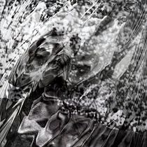 Mijn project van de cursus: Geheimen van fotomontage en creatief retoucheren. Photograph, Photograph, Post-production, VFX, Photo Retouching, Fine-Art Photograph, Photographic Composition, and Photomontage project by Ton Veldman - 04.16.2019