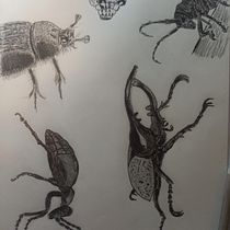 My project in Daily Sketching for Creative Inspiration course. Traditional illustration, Sketching, Creativit, Drawing, and Sketchbook project by pio-tr - 01.29.2022