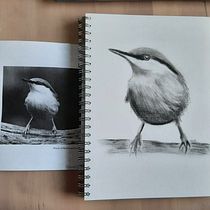 Mijn project van de cursus: Vogels illustreren met artistieke aquarel. Projekt z dziedziny Trad, c, jna ilustracja, Malowanie akwarelą, R, sunek realist, czn, Ilustracja naturalist i czna użytkownika Lucia van de Kamp - 29.01.2022