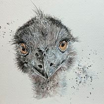 My project in Expressive Animal Portraits in Watercolor course. Un projet de Illustration traditionnelle, Aquarelle, Dessin réaliste et Illustration naturaliste de Johanna Reid - 29.01.2022