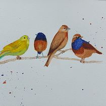 Mijn project van de cursus: Vogels illustreren met artistieke aquarel. Projekt z dziedziny Trad, c, jna ilustracja, Malowanie akwarelą, R, sunek realist, czn, Ilustracja naturalist i czna użytkownika evawllms945 - 30.01.2022