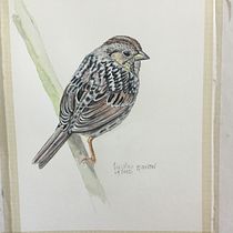 My project in Naturalist Bird Illustration with Watercolors course. Projekt z dziedziny Trad, c, jna ilustracja, Malowanie akwarelą, R, sunek realist, czn, Ilustracja naturalist i czna użytkownika Ellyn Gaspardi - 29.01.2022