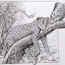 Nature with ink. Sketching, Drawing, Artistic Drawing, Sketchbook, Ink Illustration, and Naturalistic Illustration project by sherlockmang - 01.30.2022