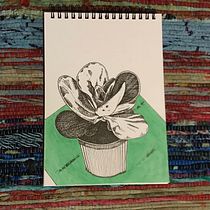 My project in Illustrated Diary: Fill Your Sketchbook with Experiences course. Traditional illustration, Sketching, Drawing, Sketchbook & Ink Illustration project by Jeni Bylsma - 01.31.2022